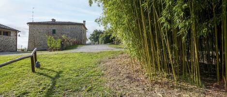 A stone building with a gravel path leading to it, surrounded by bamboo and grass.
