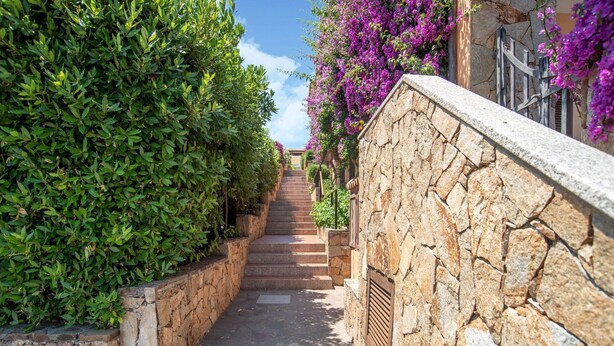 A narrow stone pathway flanked by lush green hedges and vibrant purple flowers, leading up a set of stairs. - Belvilla by OYO Monolocale Baia 8 (Golfo Aranci)