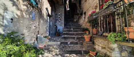 アパートメント | 外観