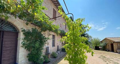 Holiday Home in Assisi With Garden Views