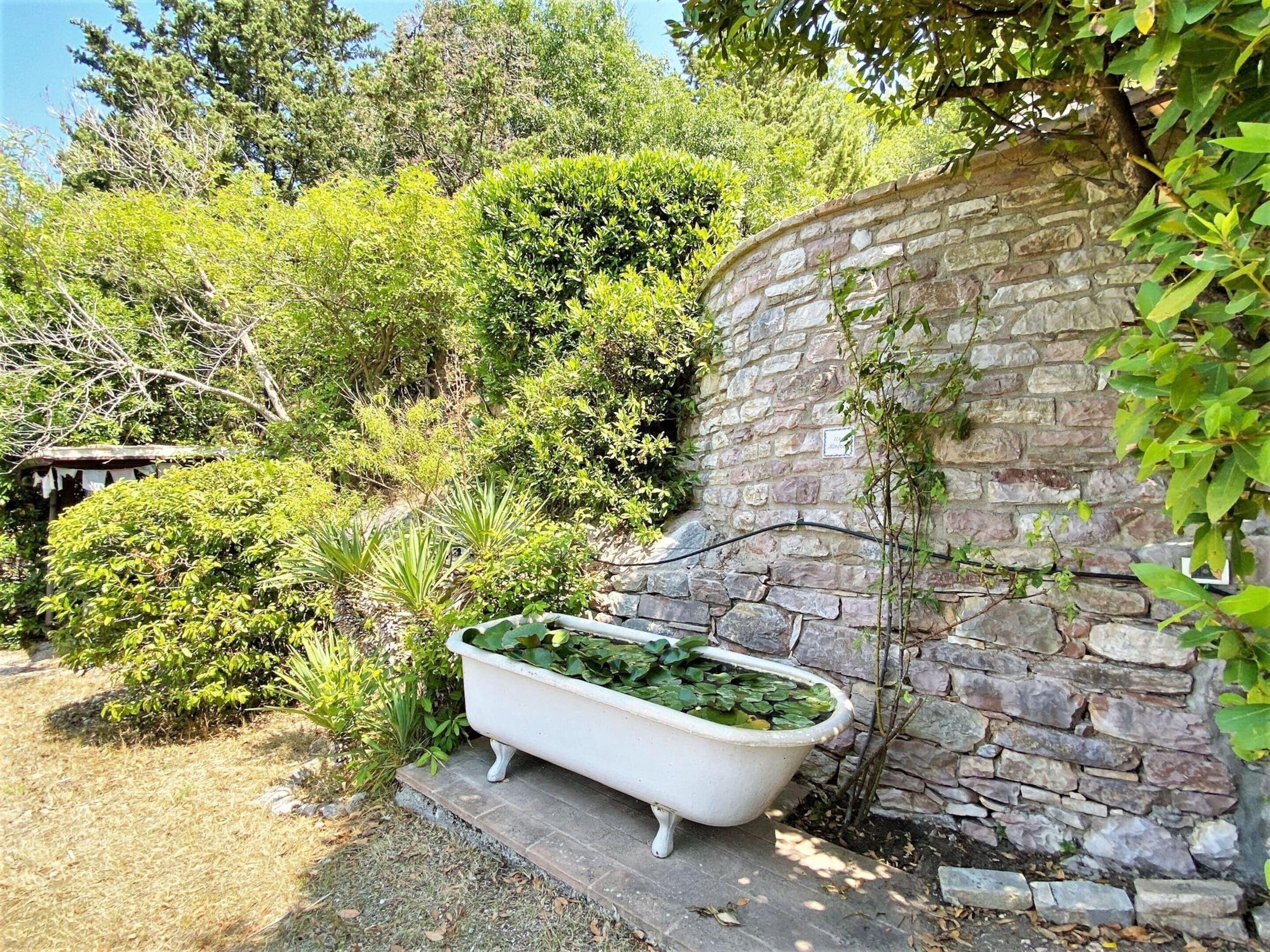 House | Garden