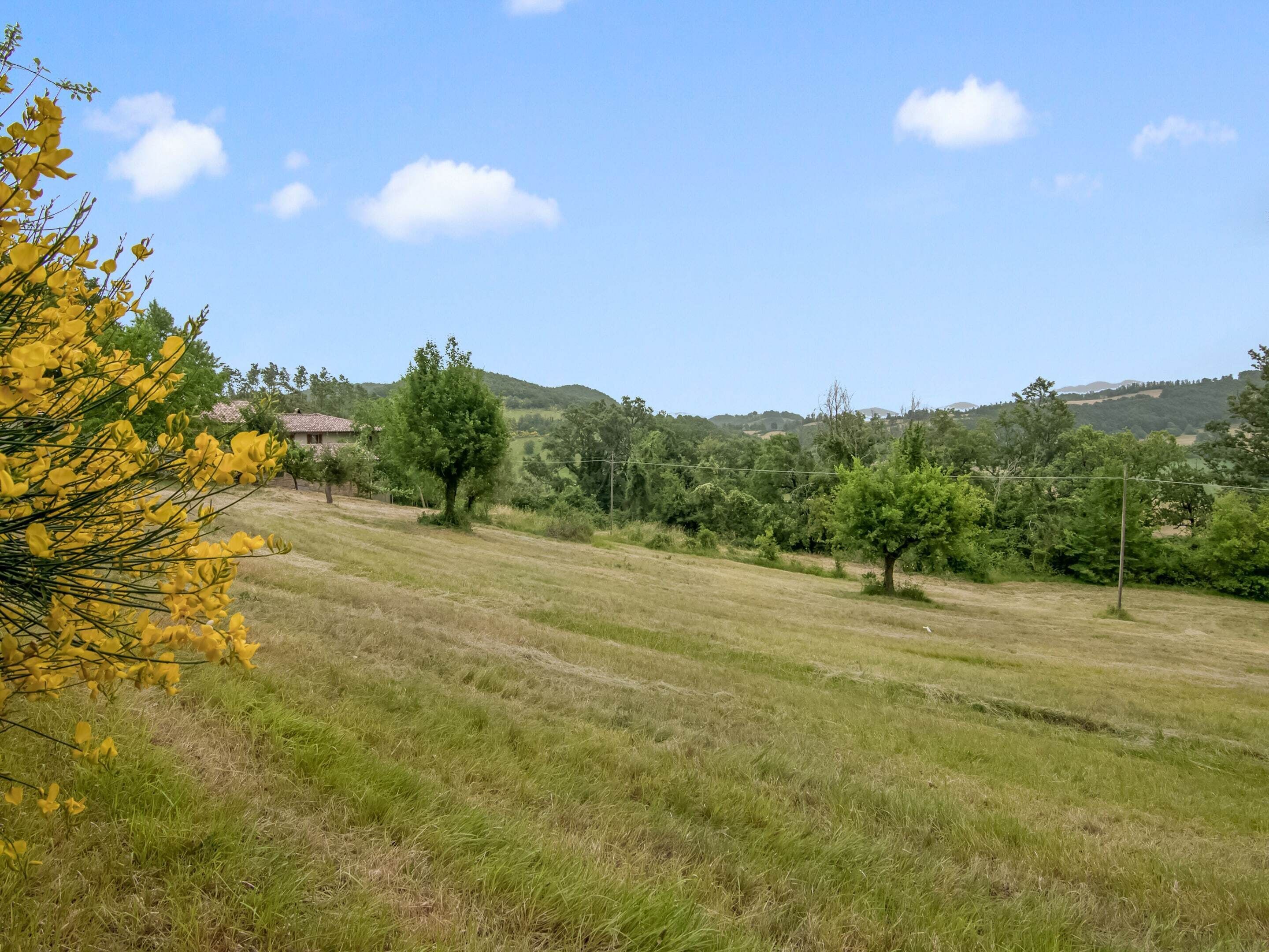 A rural landscape with a grassy field, trees, and a distant house.