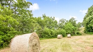 Hay bales in a field with trees in the background. - Belvilla by OYO Bilocale Monolocale 2adeg Piano (Assisi)