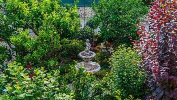 A lush garden with a central fountain, surrounded by various green plants and a stone wall in the background. - Apartments Roda - One Bedroom Apartment With Terrace - (Supetar)