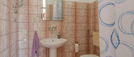 A bathroom with a pedestal sink, a toilet, a shower with a handheld showerhead, a glass shower enclosure, and a mirror above the sink.