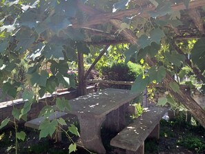 Un banc en pierre sous une pergola couverte de vignes.