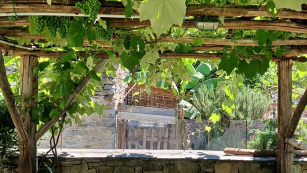 Une pergola en bois, ornée de vignes, et un mur en pierre.