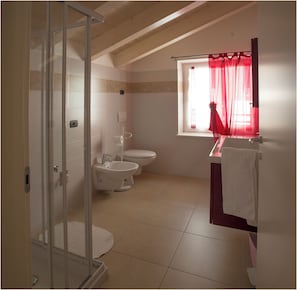 Shower, bidet - Apartment 4 - attic second floor (Tiarno di Sopra)