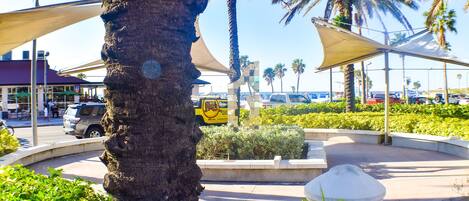 A palm tree, a roundabout with a sculpture, and a parking lot with cars.