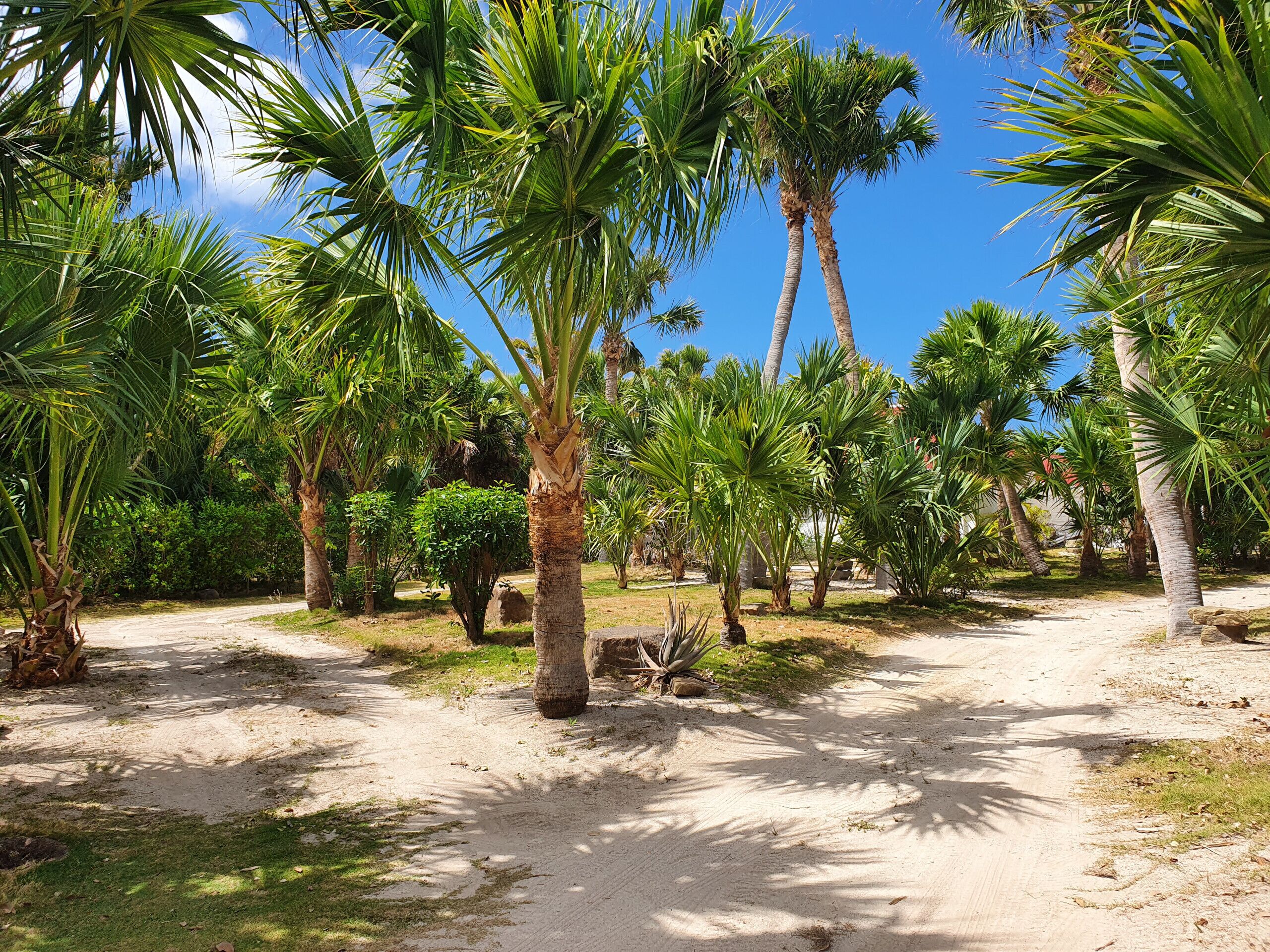 Áreas de la propiedad