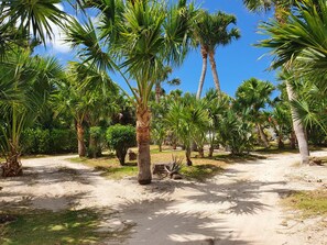 Áreas de la propiedad