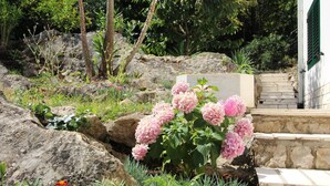 Ein Garten mit großen Steinen, rosa Blüten und einer Steintreppe, die zu einem Gebäude mit einer grünen Tür führt.