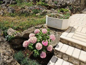 A garden with pink hydrangea flowers, a concrete planter, and a stone pathway.
