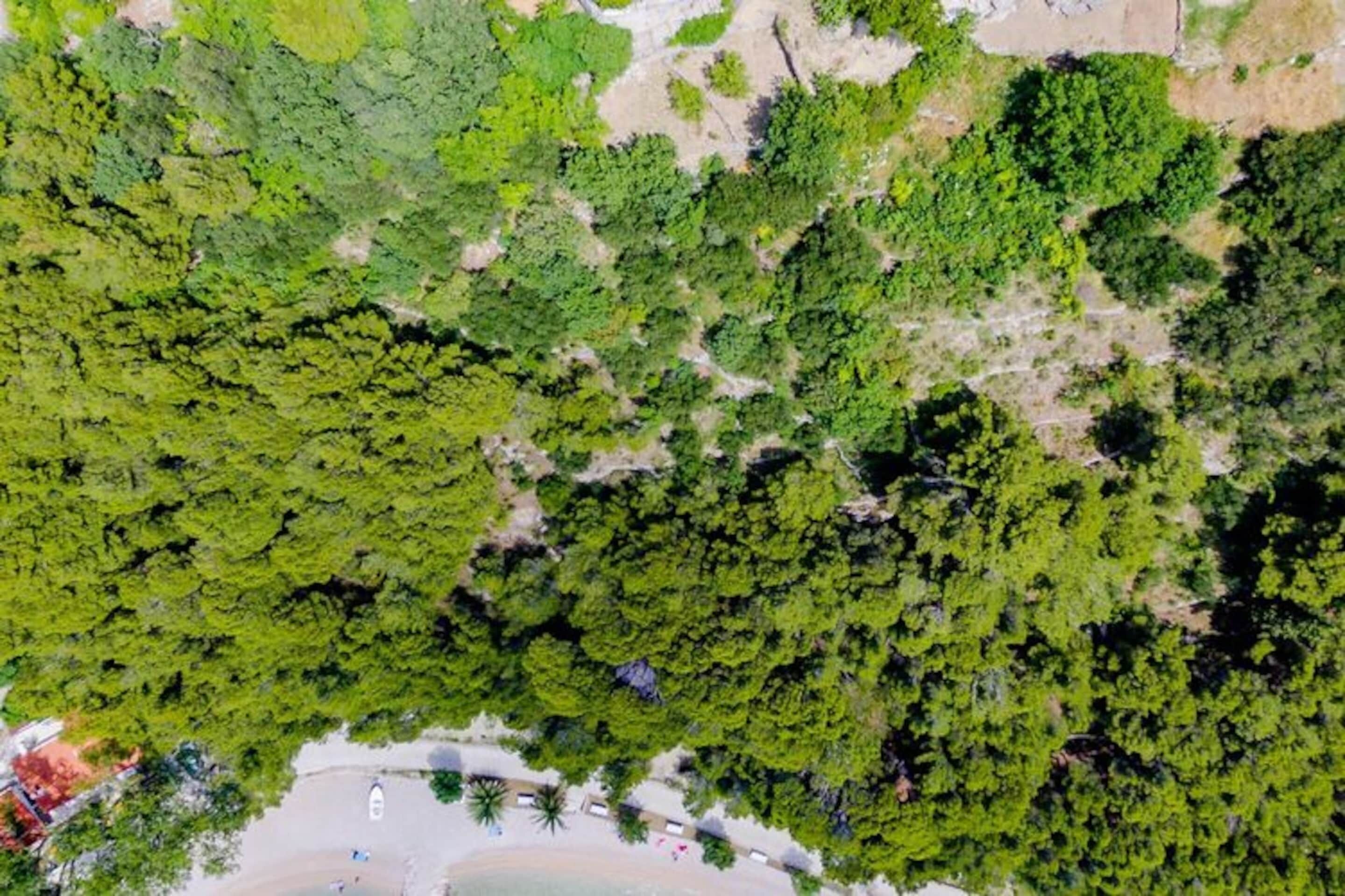 Vista aèria d'una zona costera amb vegetació verda abundant i una platja de sorra amb algunes construccions.