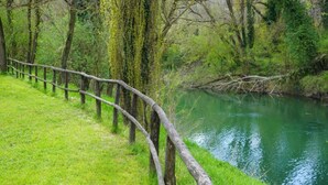 Une clôture en bois longe la rive d’une rivière, avec une végétation luxuriante et des arbres en arrière-plan.