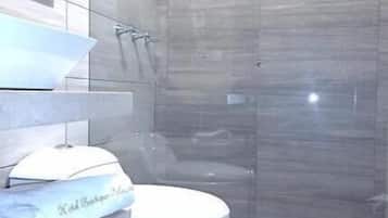 Cabezal de ducha tipo lluvia, secador de pelo, toallas