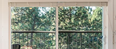 Vista desde la habitación