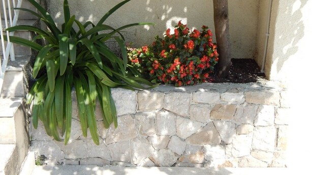 A stone planter with a large green plant and red flowers. - Apartments Lucija - One Bedroom Apartment With Terrace (Dubrovnik)