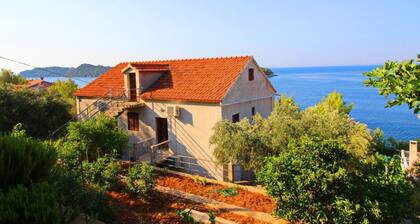 Apartments Bacic - One Bedroom Apartment With Terrace and Sea View