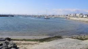 View from property - Apartment in Premantura Near Kamenjak Park (Medulin)