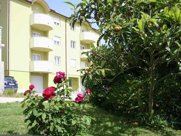 Apartment | Exterior - Apartment in Premantura Near Kamenjak Park (Medulin)