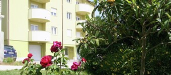 Apartment in Premantura Near Kamenjak Park