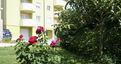 Apartment in Premantura Near Kamenjak Park