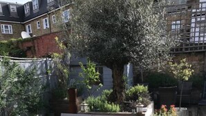 A wooden deck with a bench and potted plants. - Stunning 3 Bedroom House With Garden in Battersea (London)