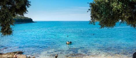 House | View from property