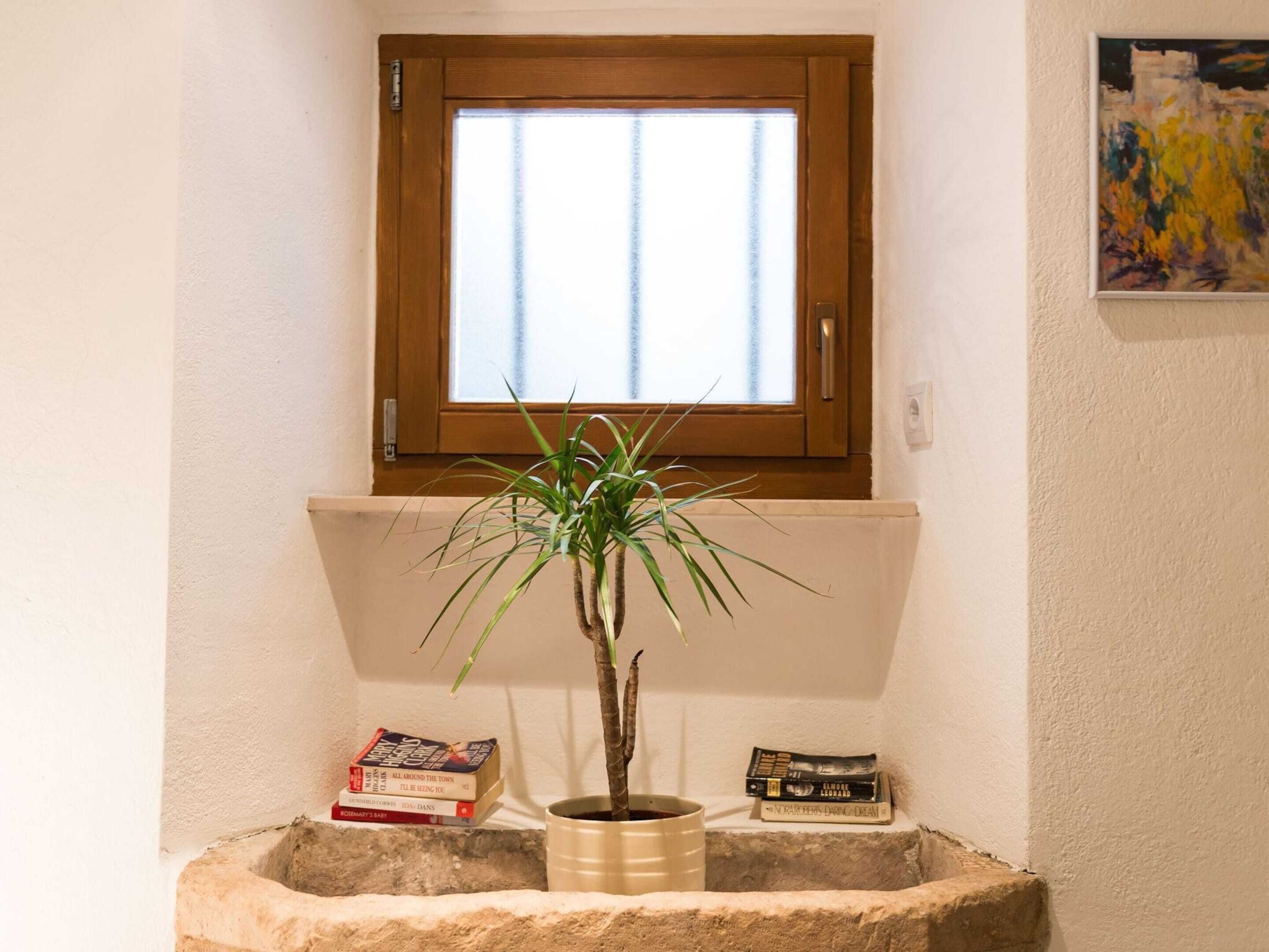 Una planta en maceta en una esquina, con una ventana encima.