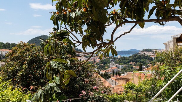 An outdoor dining area with a table and chairs, overlooking a scenic view of a town and hills. - Apartments Franka - One Bedroom Apartment With Terrace and Garden View (Dubrovnik)
