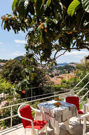 Outdoor dining - Apartments Franka - One Bedroom Apartment With Terrace and Garden View (Dubrovnik)