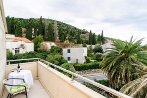 Departamento | Vista desde la propiedad