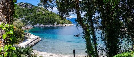 Apartment | View from property