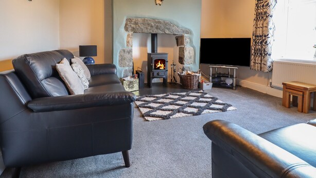 A cozy living room with a fireplace, a sofa, a TV, and a stone wall. - Ynys (Dyffryn Ardudwy)