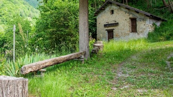 House | Garden