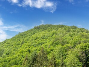 House | View from property