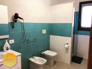 Chuveiro, secador de cabelo, bidê, toalhas de banho