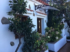 Detalle del exterior