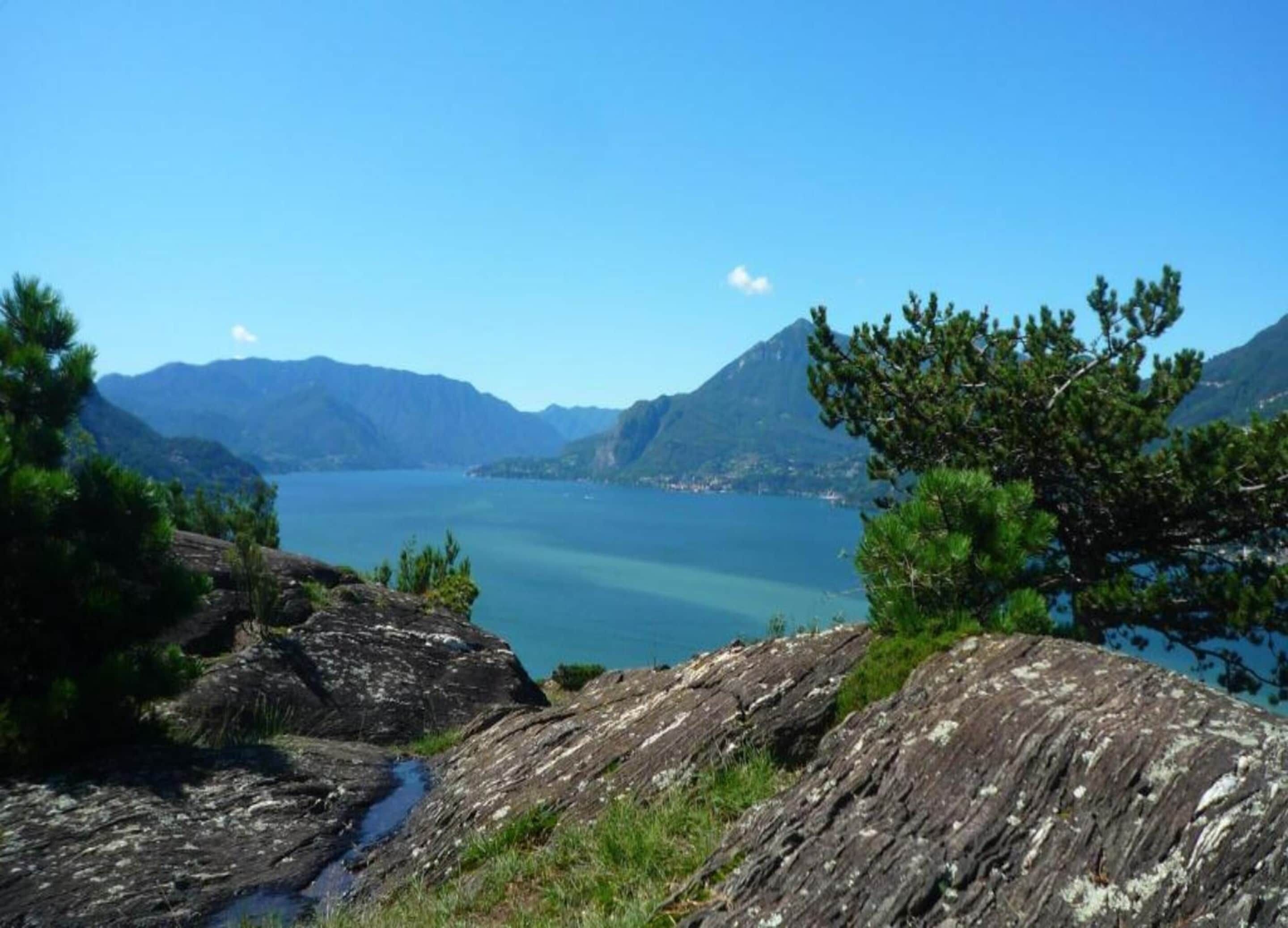A mountainous landscape with a lake, rocky terrain, and pine trees.