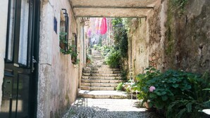 A narrow stone staircase leading up to a building entrance, surrounded by greenery and potted plants. - Apartment Taura - Studio Apartment With Balcony and Old City View (Dubrovnik)