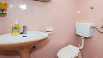 Apartment | Bathroom | Bathtub, hair dryer