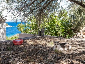 Garden - Olive's Garden House - Three Bedroom Holiday Home With Terrace and Sea View (Vela Luka)