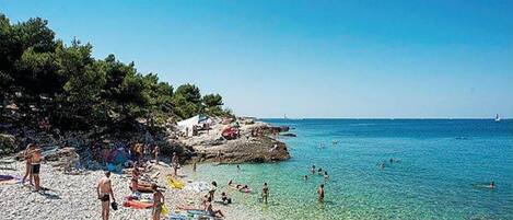 อพาร์ทเมนท์ | วิวจากที่พัก