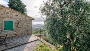 Un bâtiment en pierre avec un volet vert, un chemin de gravier et un olivier.
