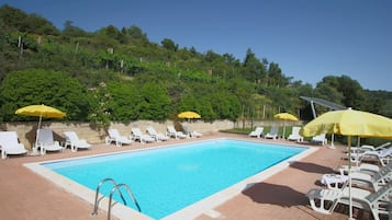 House | Pool | Outdoor pool