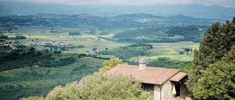 House | View from property