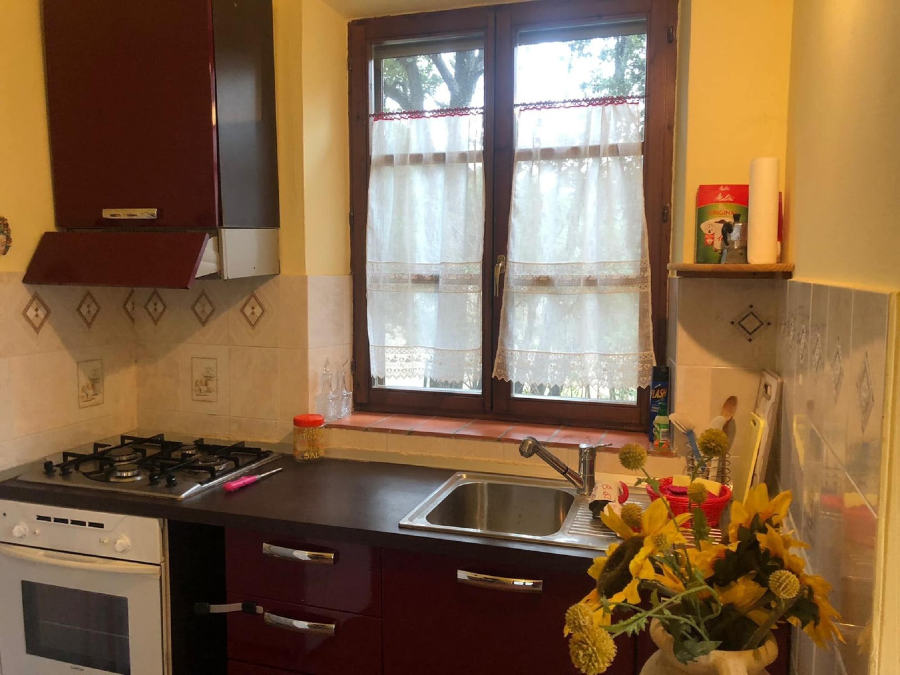 A kitchen with a gas stove, oven, sink, and a window with lace curtains.