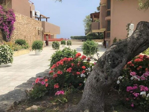 Apartment | Exterior