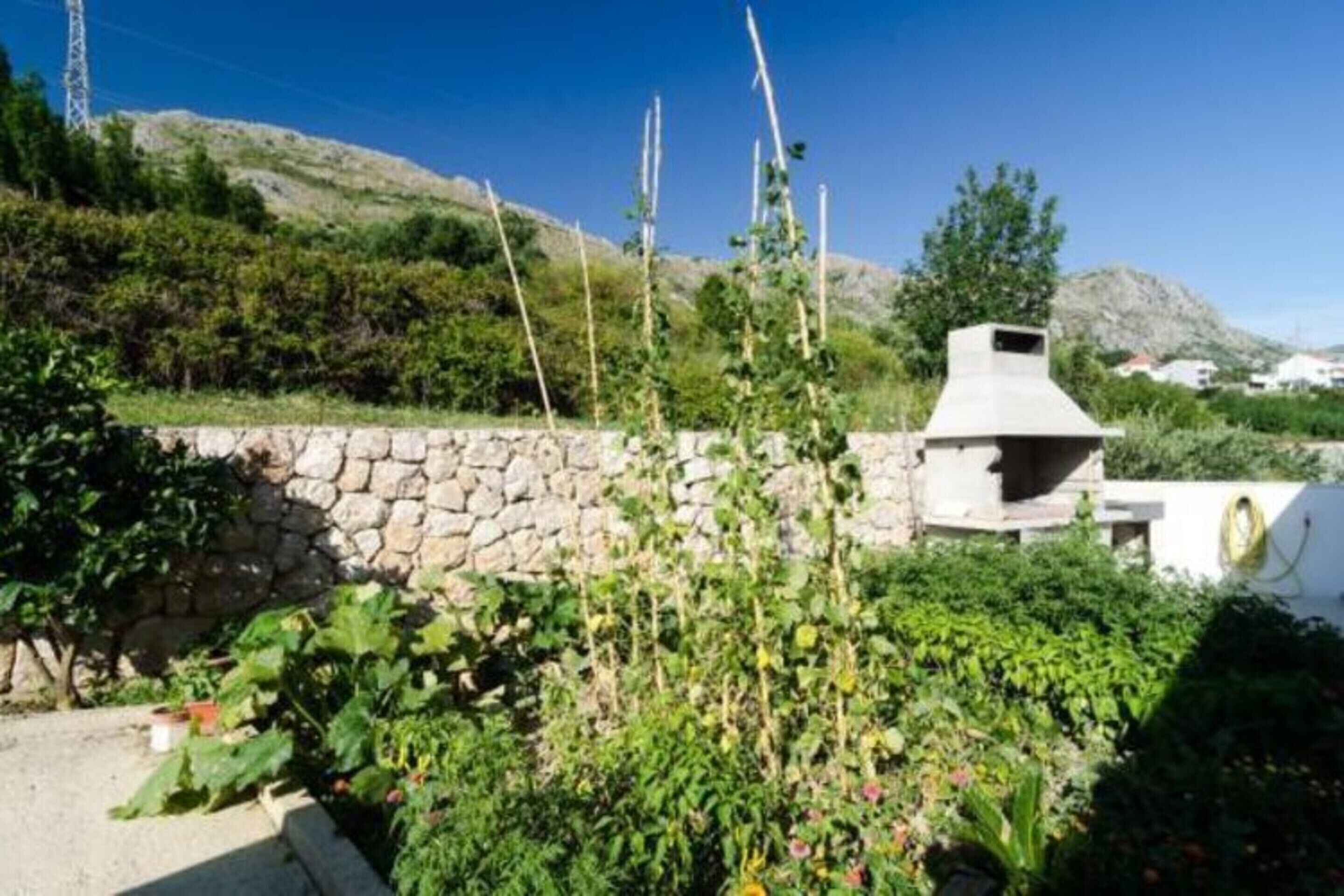 A stone wall with a barbecue grill and a garden with various plants.